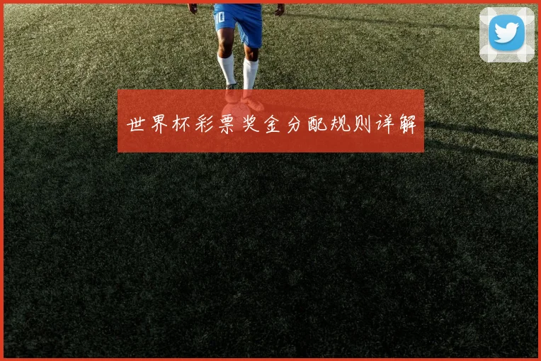 世界杯彩票奖金分配规则详解