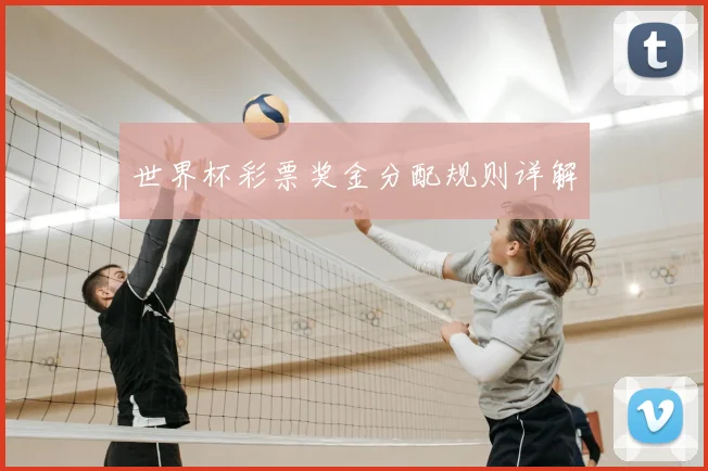 世界杯彩票奖金分配规则详解