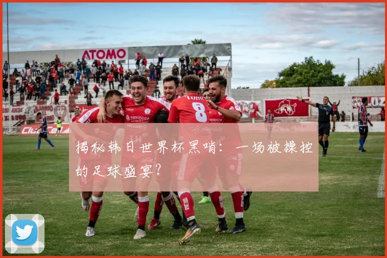 揭秘韩日世界杯黑哨：一场被操控的足球盛宴？