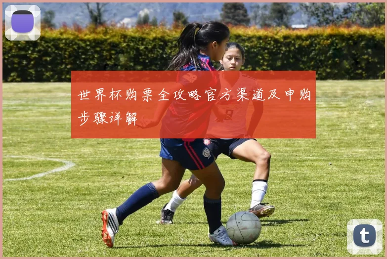 世界杯购票全攻略官方渠道及申购步骤详解
