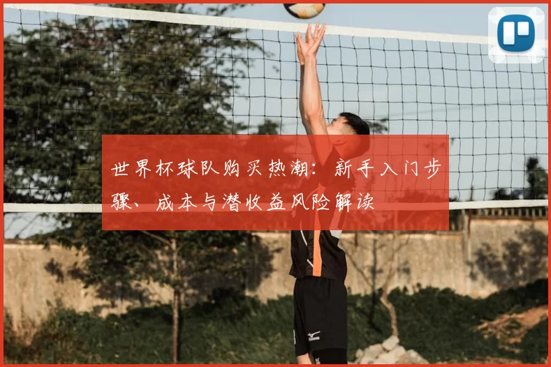 世界杯球队购买热潮：新手入门步骤、成本与潜收益风险解读