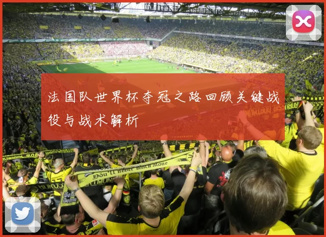 法国队世界杯夺冠之路回顾关键战役与战术解析