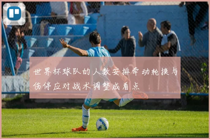 世界杯球队的人数安排牵动轮换与伤停应对战术调整成看点