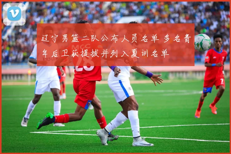 辽宁男篮二队公布人员名单 多名青年后卫获提拔并列入夏训名单
